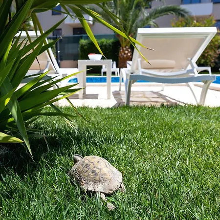 Apartment Sunny Garden Adria