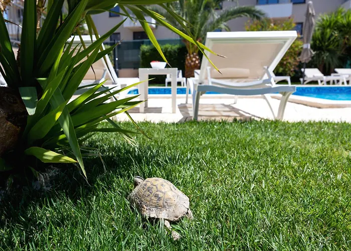Apartmán Sunny Garden Adria